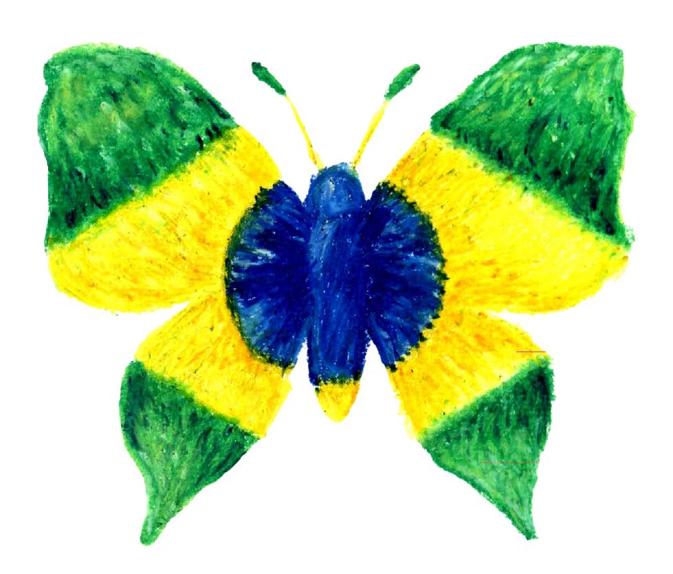 Desenho de borboleta contendo a bandeira do Brasil