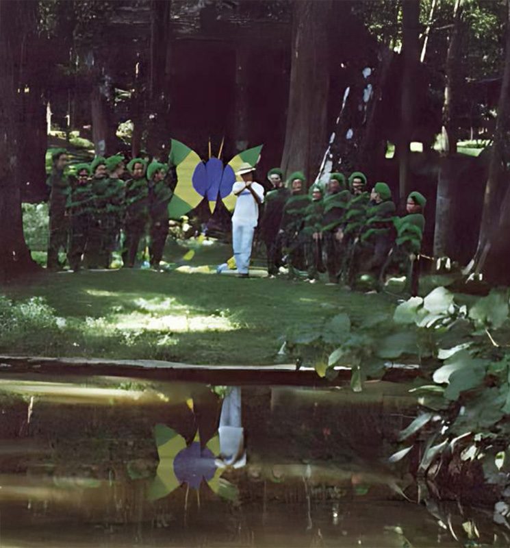 Grupo de crianças usando roupas verdes que parecem fazer parte da floresta